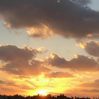 夕日 夕日の写真