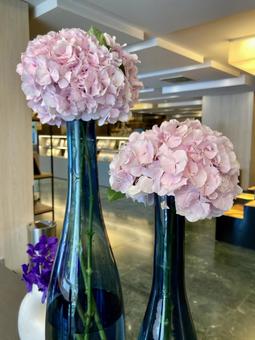 フラワーアレンジ フラワーアレンジ アジサイ,花,飾るの写真素材