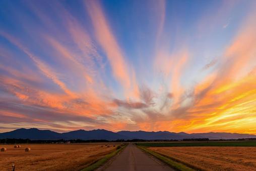 夕焼け 夕焼け,十勝,畑の写真素材