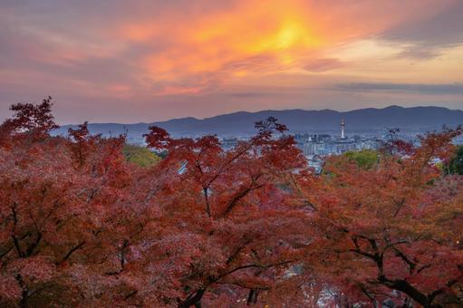 清水寺奥の院から見える京都タワーと紅葉2 清水寺奥の院から見える京都タワーと紅葉2 京都,清水寺,奥の院の写真素材