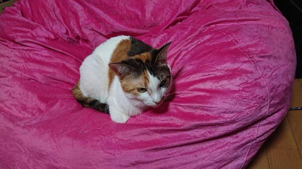 お気に入りの場所 お気に入りの場所の写真