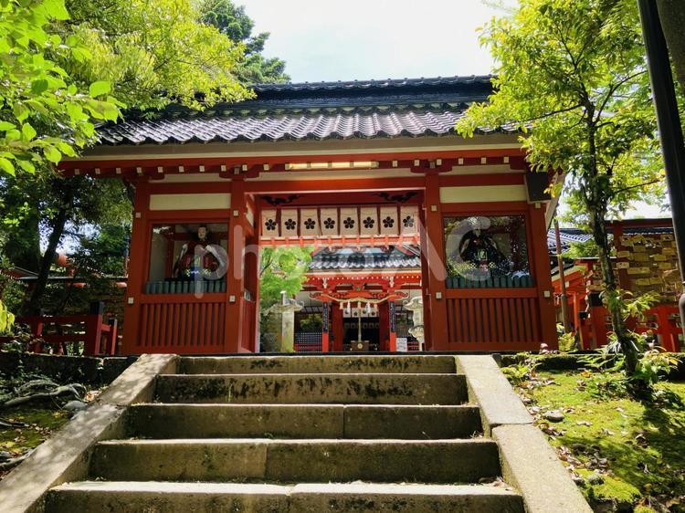 金澤神社　随神門　神門 金澤神社,石川県金沢市,神社の写真素材