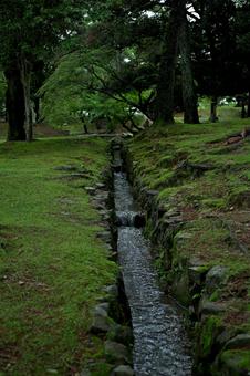 奈良の公園の苔を渡る小川 奈良,公園,小川の写真素材