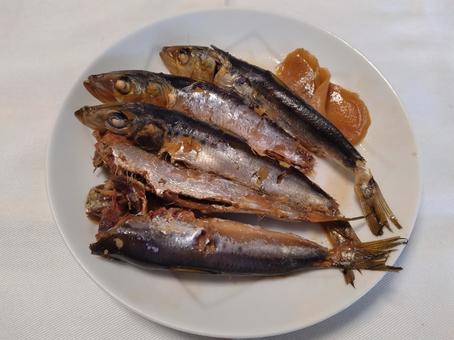 イワシのしょうが煮 イワシのしょうが煮 イワシ,煮付け,しょうが煮の写真素材