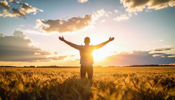 草原で夕陽に手を広げる男性の後ろ姿の写真