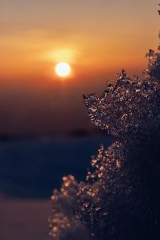 Ice shining in the sunset, JPG Ice shining in the sunset, JPG