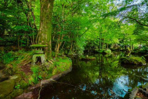 【岐阜】岐阜公園 2025 【岐阜】岐阜公園 2025の写真