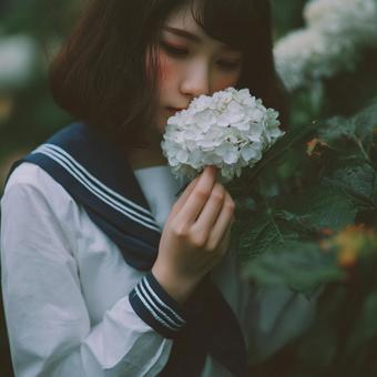 梅雨の季節、アジサイと少女の優しい時間 梅雨の季節、アジサイと少女の優しい時間の写真