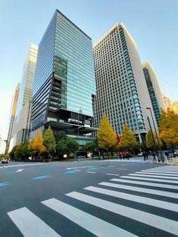 ビルと紅葉 ビルと紅葉 日本,東京,都会の写真素材