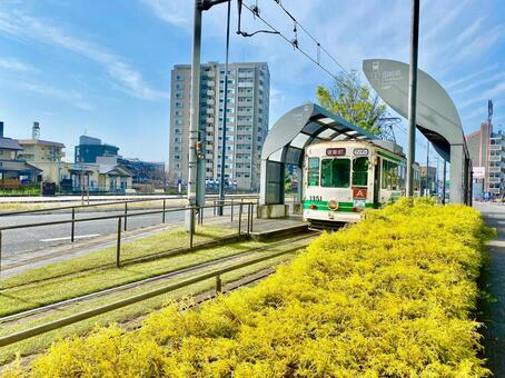 【熊本県】田崎橋電停（熊本市電） 田崎橋電停,田崎橋,電停の写真素材