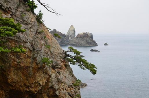 断崖に生える松と沖の奇岩・日本の海岸風景 海,岩,崖の写真素材
