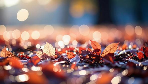 落葉した赤い紅葉いっぱいの地面 落葉した赤い紅葉いっぱいの地面の写真