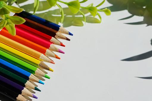 たくさんのカラーがある色えんぴつ 色鉛筆,色,色えんぴつの写真素材