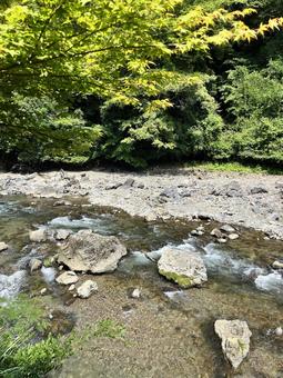 森と川 森と川の写真