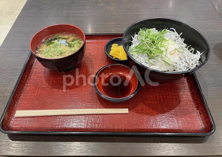 淡路パーキングにて　しらす丼 ご飯,しらす丼,美味しいの写真素材