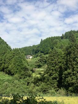 山に囲まれた日本の集落 山に囲まれた日本の集落 山,緑,自然の写真素材