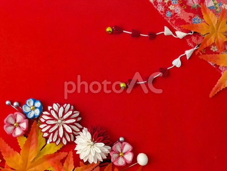 七五三（和風赤＆紅葉） 秋,七五三,紅葉の写真素材