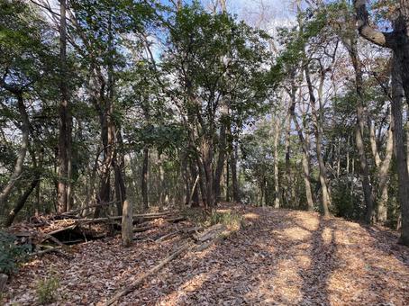 ハイキング ハイキング 山,登山,低山の写真素材