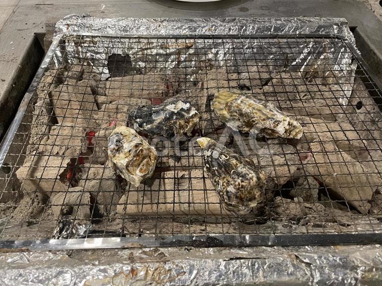 牡蠣の浜焼き 牡蠣,炭火,浜焼きの写真素材