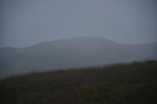 初秋の霧ヶ峰① 初秋の霧ヶ峰①の写真