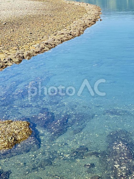新宮市　三輪崎海岸　鈴島　磯 磯,新宮市,三輪崎海岸の写真素材