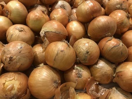 玉ねぎ3 玉ねぎ3 玉ねぎ,タマネギ,野菜の写真素材