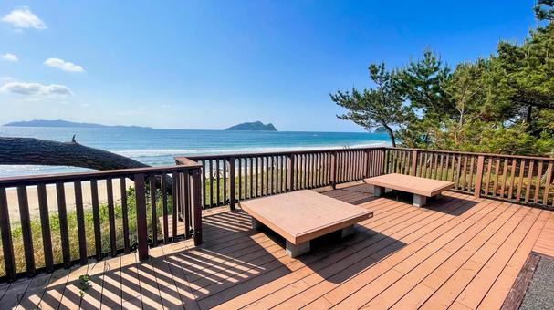 さつき松原の松林遊歩道 さつき松原,宗像市,松林の写真素材