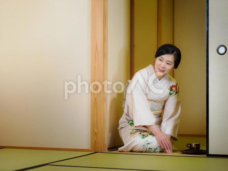 33：お茶をお出しする着物の女性 着物,おもてなし,お茶だしの写真素材