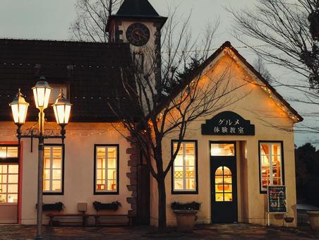 ドイツの森の写真