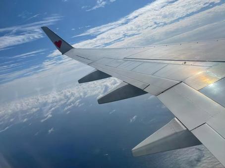 飛行機 飛行機の写真