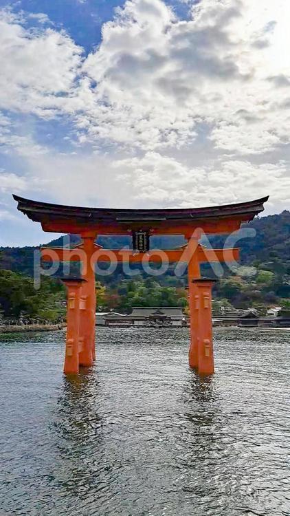 宮島　海から見た厳島神社の鳥居 厳島神社,鳥居,宮島の写真素材