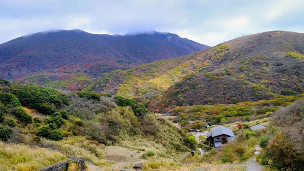 秋の葉っぱで色づく山 自然,植物,葉っぱの写真素材