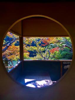 秋の風景 秋の風景の写真