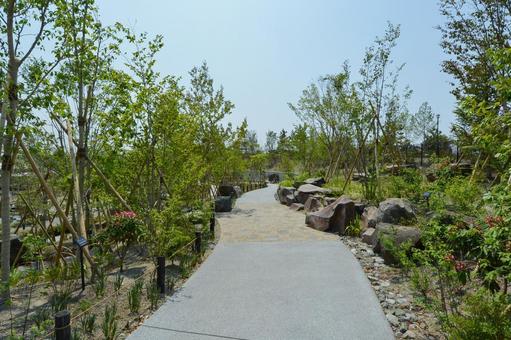 二子玉川公園の遊歩道 二子玉川公園の遊歩道 二子玉川公園,公園,晴の写真素材