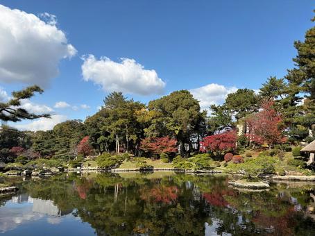 縮景園の紅葉 縮景園,庭園,秋の写真素材