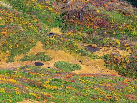 紅葉の栗駒山(須川岳)竜泉ヶ原 紅葉の栗駒山(須川岳)竜泉ヶ原の写真