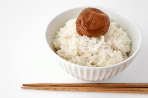 ご飯と梅干し ご飯と梅干し 梅干し,梅,漬物の写真素材