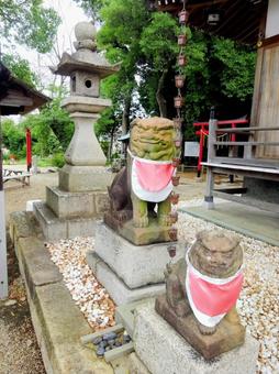 若宮住吉神社の狛犬 若宮住吉神社の狛犬の写真