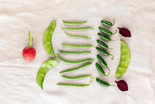 並べて置かれた緑色と赤の野菜 並べて置かれた緑色と赤の野菜の写真