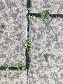 Photo, block, block gap, small world, 