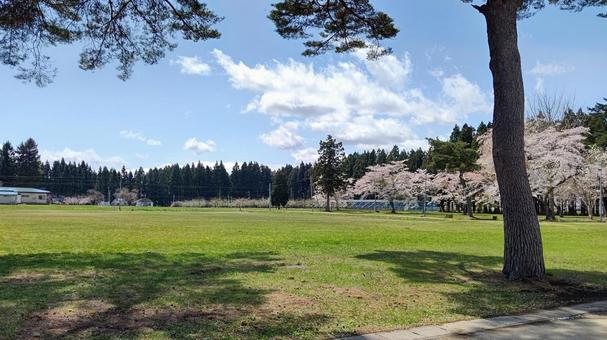 Spring Grounds, JPG Spring Grounds, JPG