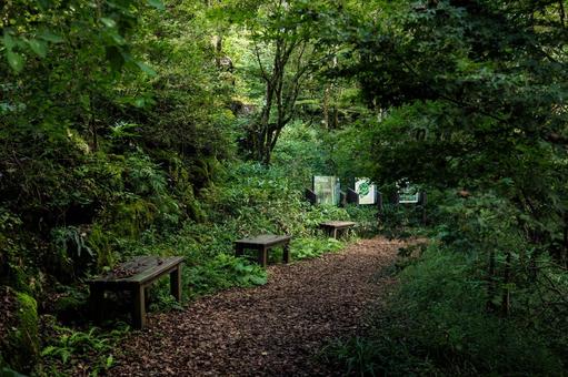 四国カルスト 天狗高原セラピーロード 四国カルスト 天狗高原セラピーロード 四国カルスト,天狗高原,セラピーロードの写真素材