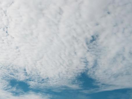 秋の鱗雲 秋の鱗雲の写真