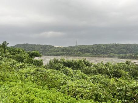 増水した川1 増水した川1 川,増水,自然の写真素材