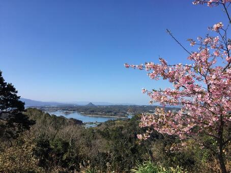 松島の海 松島の海の写真
