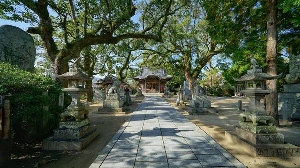 諏訪神社さんぽ 諏訪神社さんぽの写真