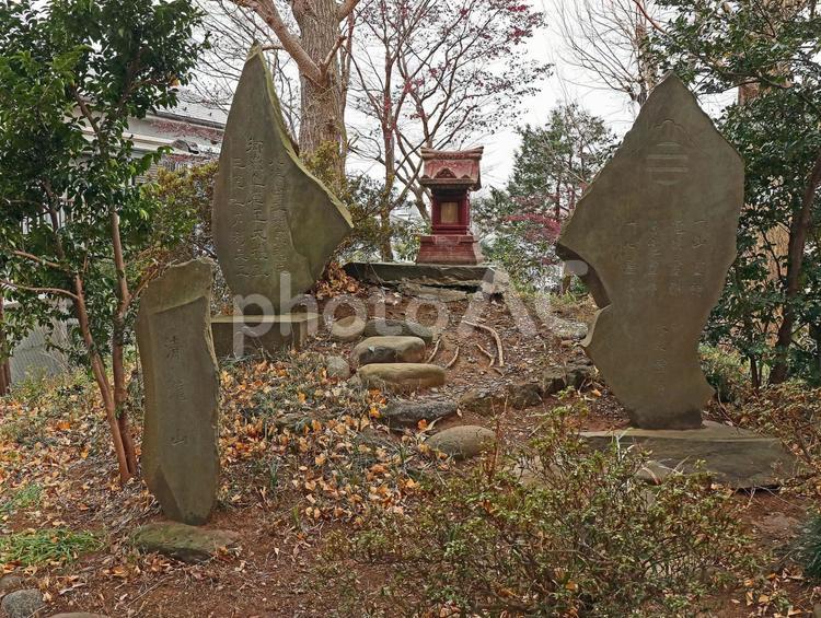 上赤塚氷川神社（板橋） 上赤塚氷川神社,素戔嗚命,藤原広継命の写真素材