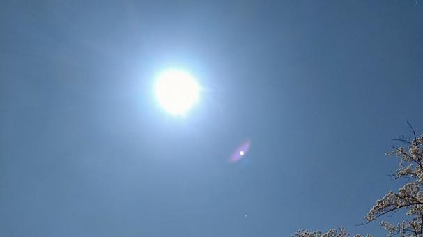 Photo, sun, spring, blue sky, 