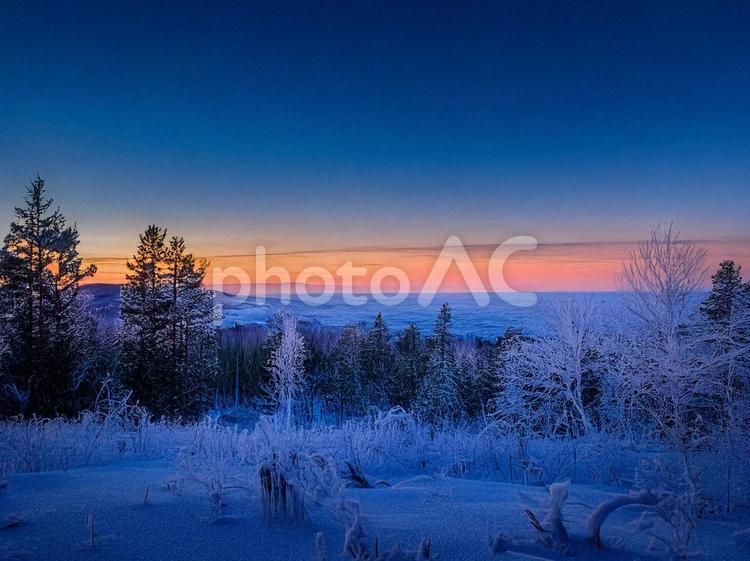 夕焼けの雪山と木々 夕焼け,雪山,雪景色の写真素材
