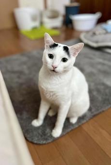 Oto-chan gazing from the side of the bed, JPG Oto-chan gazing from the side of the bed, JPG